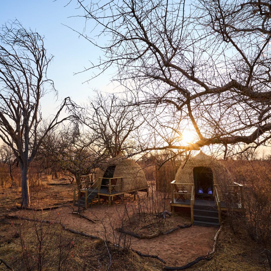 Schlaf-Pods in der Kalahari bei Sonnenaufgang