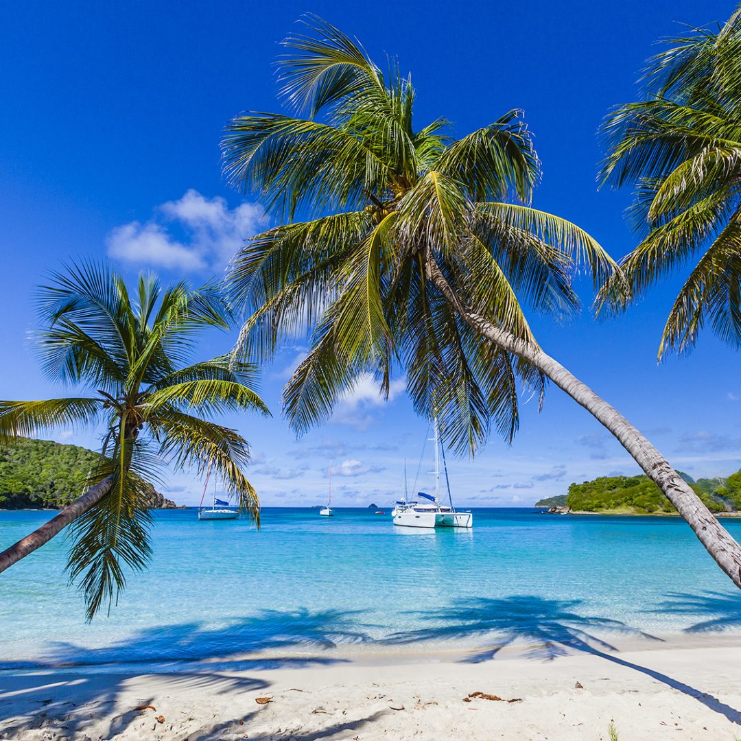 Salt Whistle Bay is one of the most famous and photographed beaches of the Grenadines, one and a half mile of white sand lapped by crystal clear and calm waters. It is located on Mayreau Island, that is one of the smaller Grenadines and lies north-west of the famous Tobago Cays. St. Vincent and the Grenadines. Canon EOS 5D Mark II